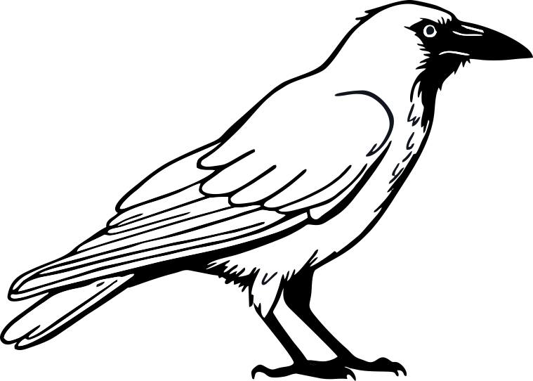 corvo branco — ímpar editora